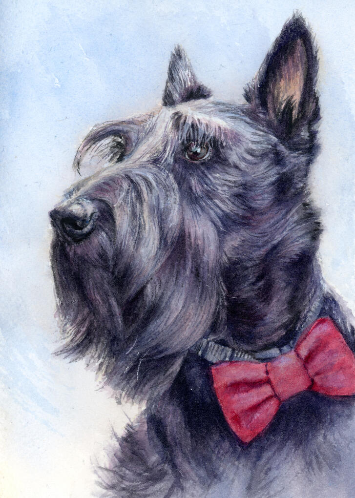 Griffin